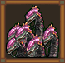 Deep Hydra